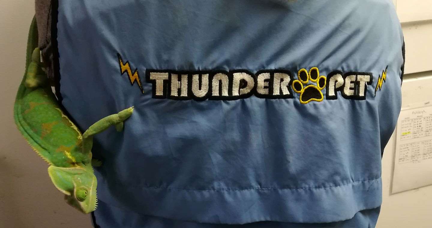 Thunder Pet Thunder Bay, ON Pet Supplies