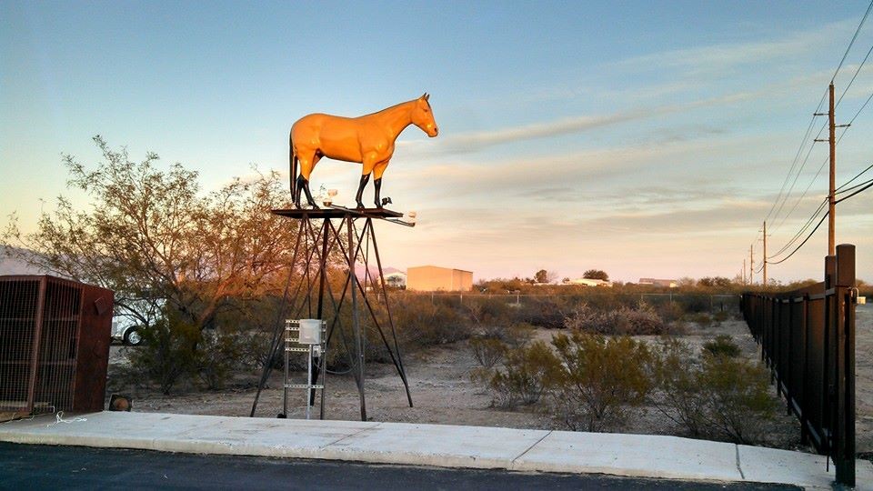 Vista Feed Corona de Tucson, AZ Pet Supplies