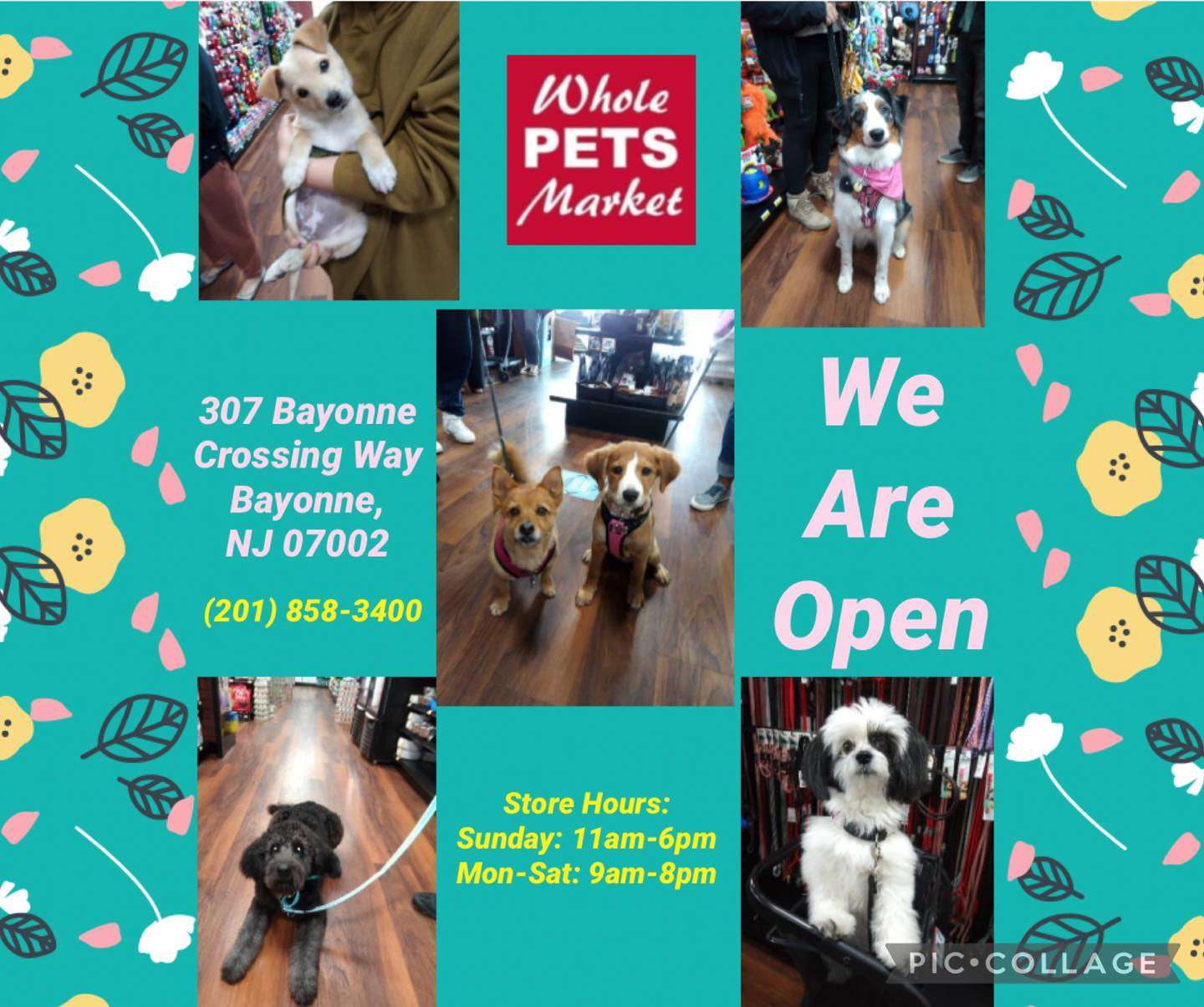 Whole Pets Market Bayonne, NJ Pet Supplies