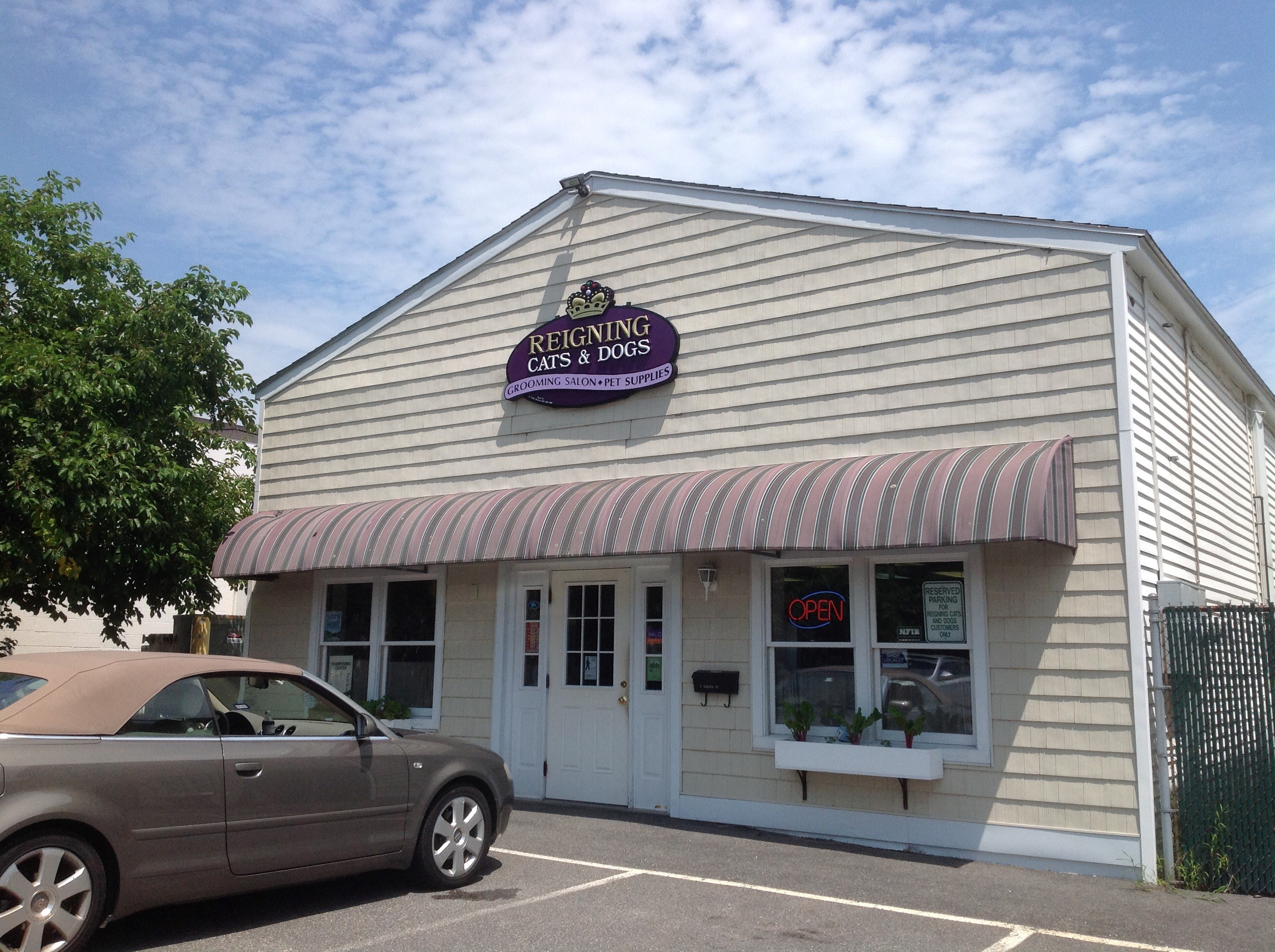 Reigning Cats And Dogs Kennebunk Reigning Cats And Dogs Kennebunk