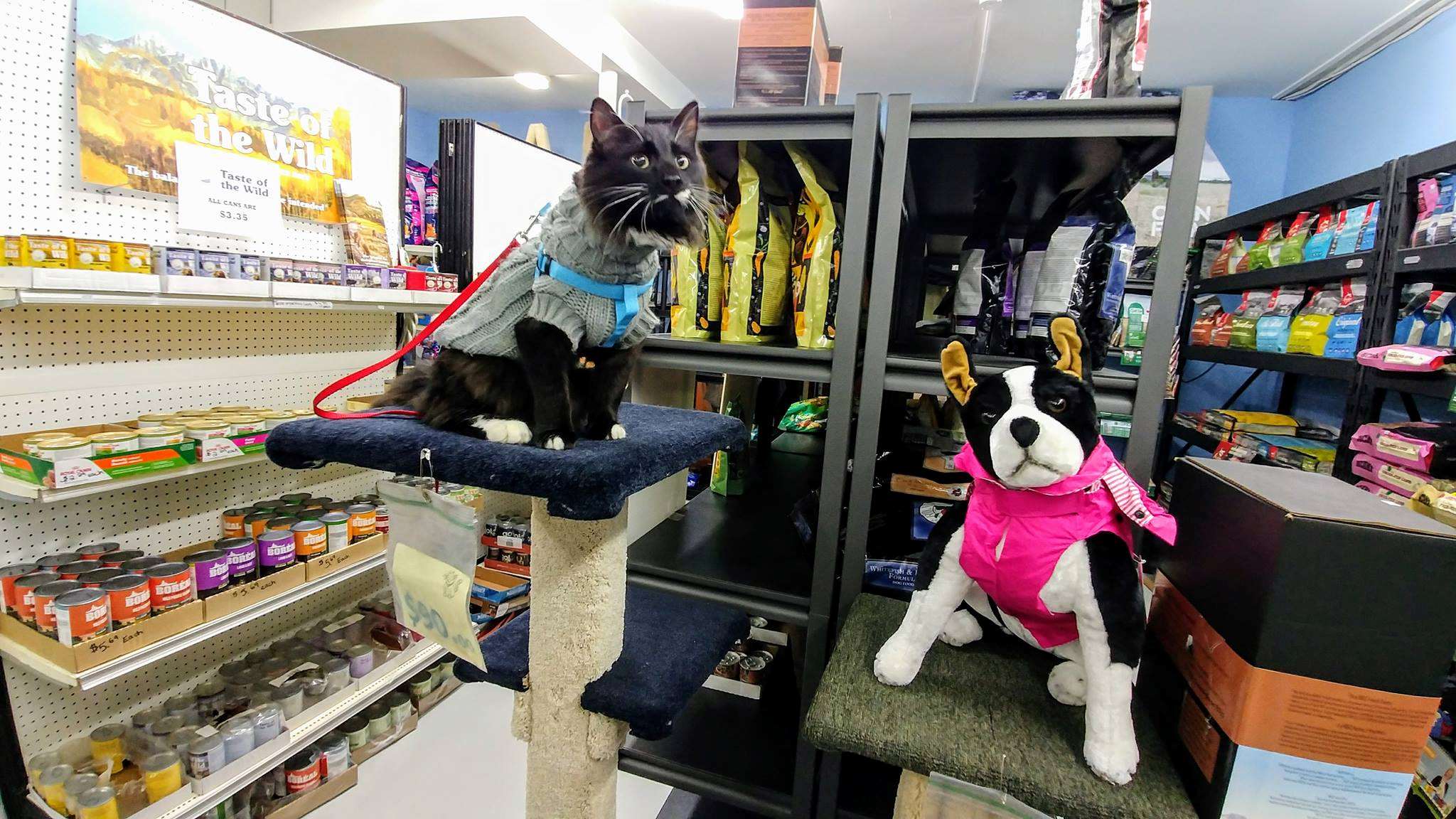 Clayton Critters Victoria, BC Pet Supplies