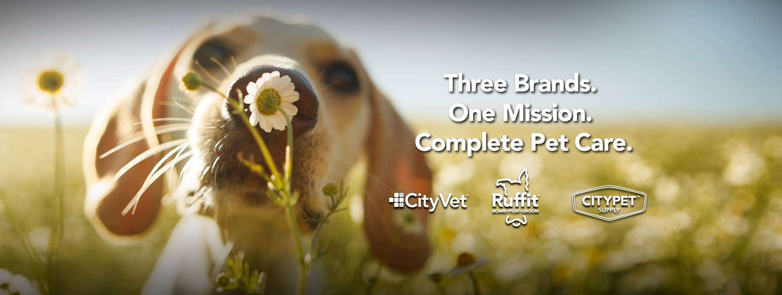 CityVet Dallas, TX Pet Supplies