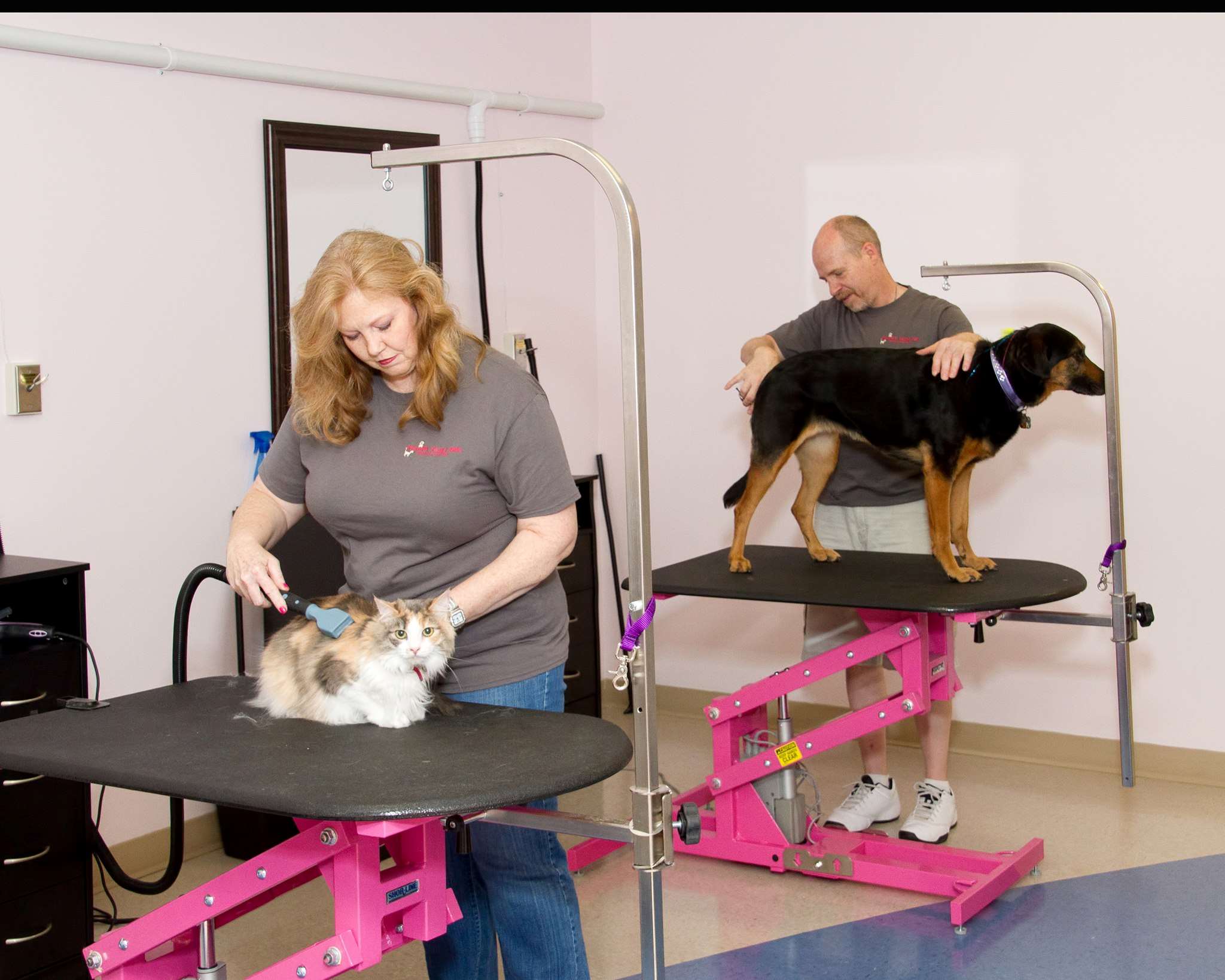 Happy Tailz Spa Wexford, PA Pet Supplies