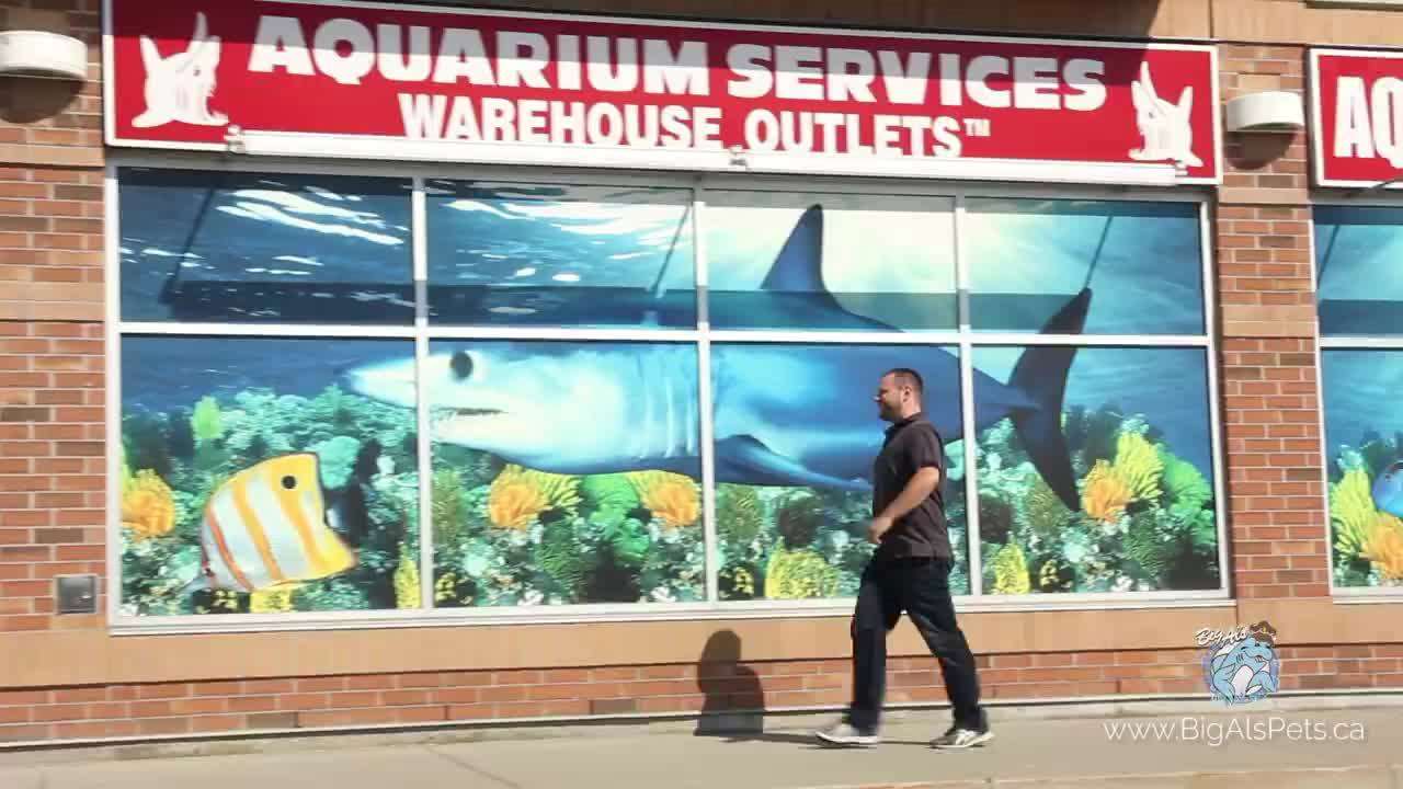 Big Al's Pet Supercentre Scarborough, ON Pet Supplies