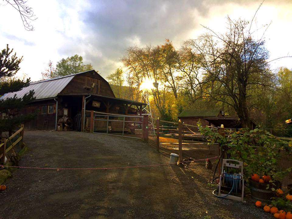 Baxter Barn Fall City, WA Pet Supplies