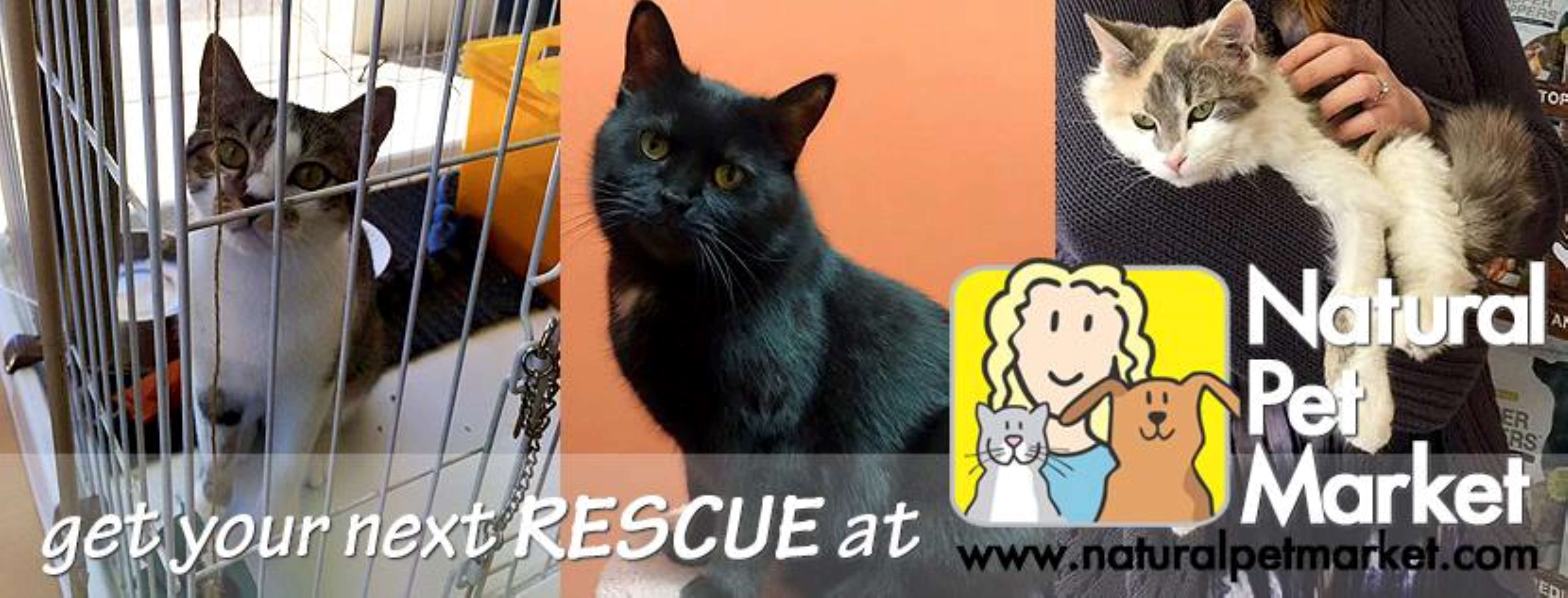 Bentley's Pet Stuff Natural Pet Market Wheaton, IL Pet Supplies