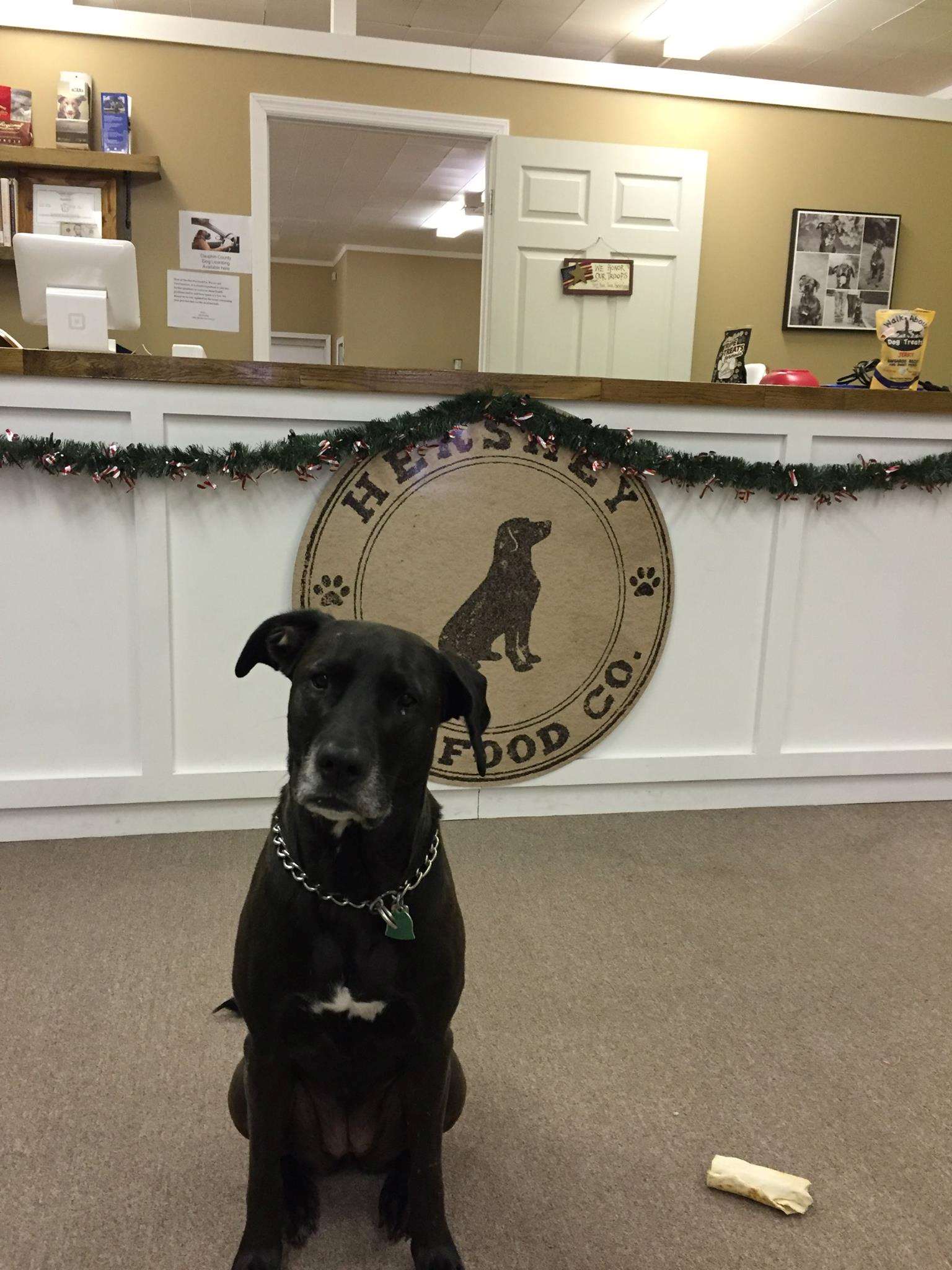 Hershey Pet Food Co. Hummelstown, PA Pet Supplies