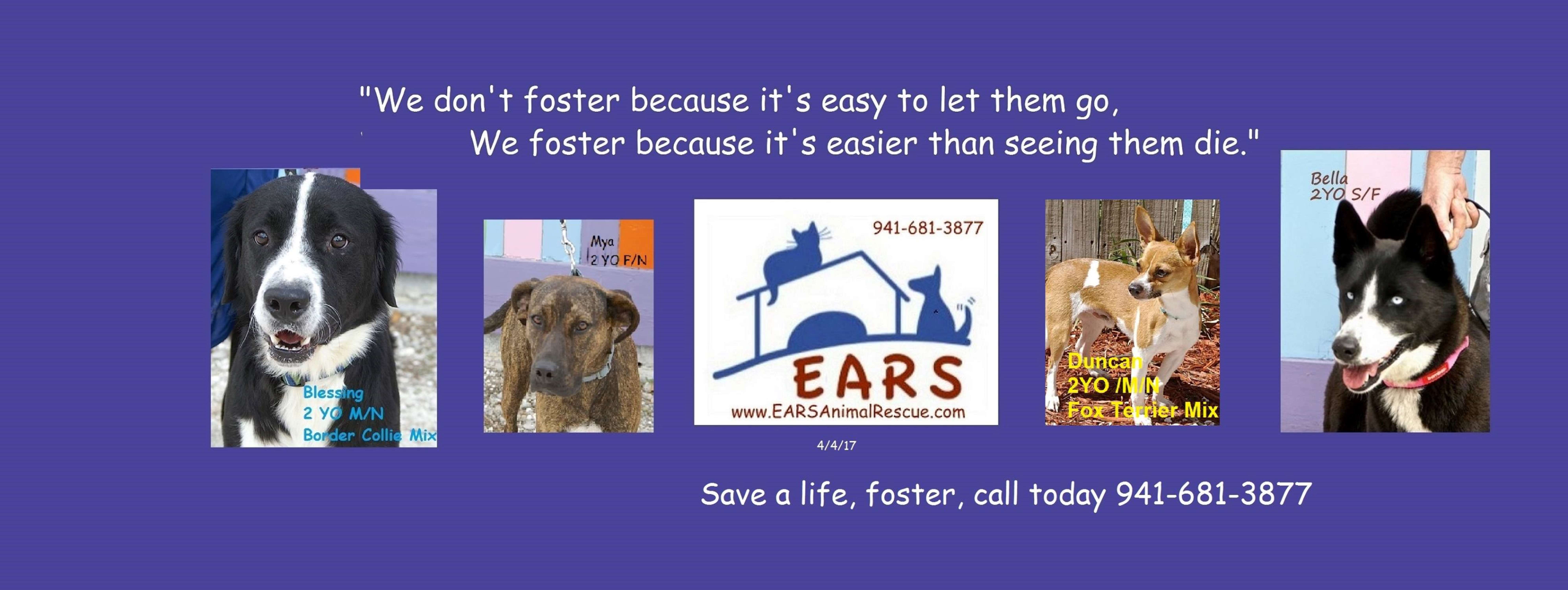 EARSEnglewood Animal Rescue Englewood, FL Pet Supplies