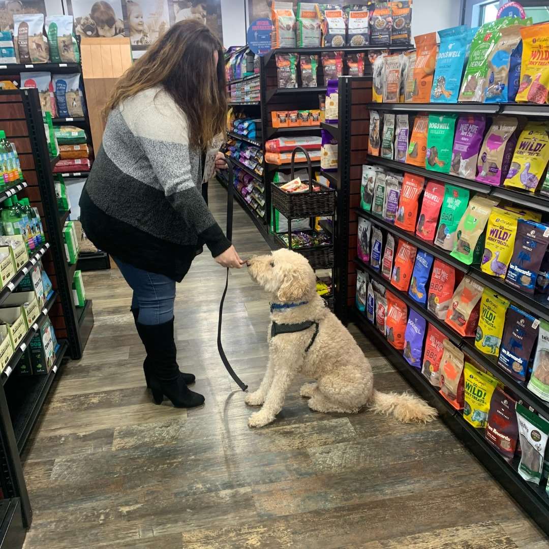 Rumford Pet Express Wakefield, RI Pet Supplies