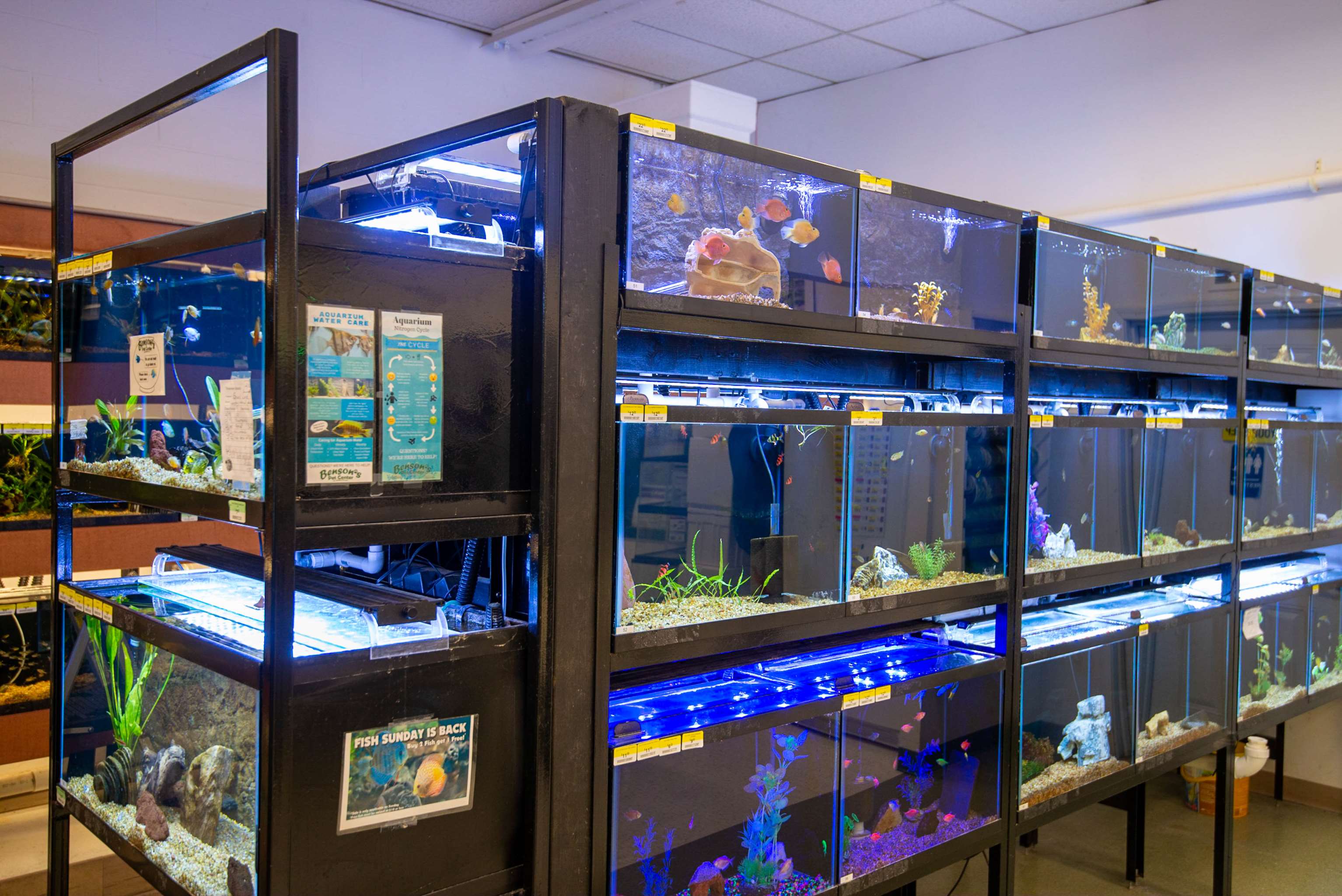 Benson's Pet Center Clifton Park, NY Pet Supplies