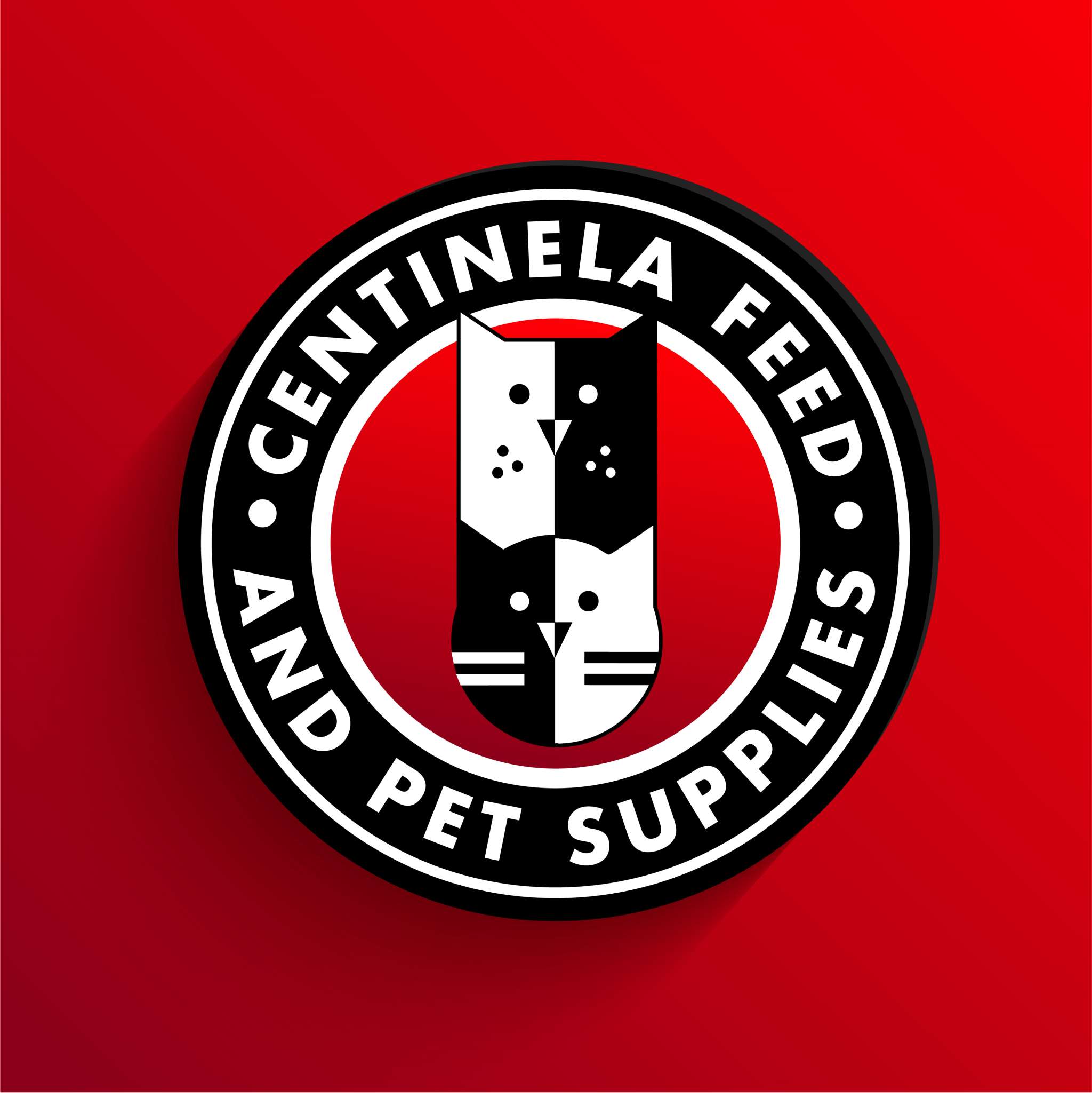 Alt Text