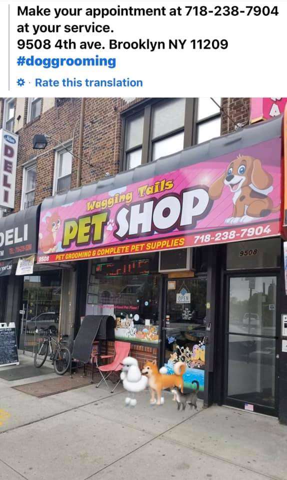 long line dog training