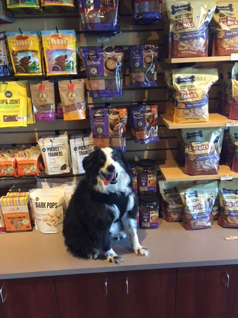 three dog bakery bluhawk