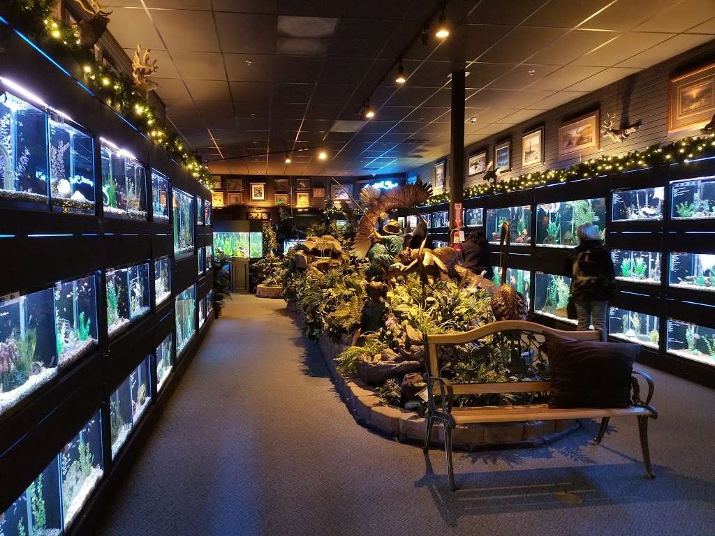 Bridges Pets & Gifts Snohomish, WA Pet Supplies