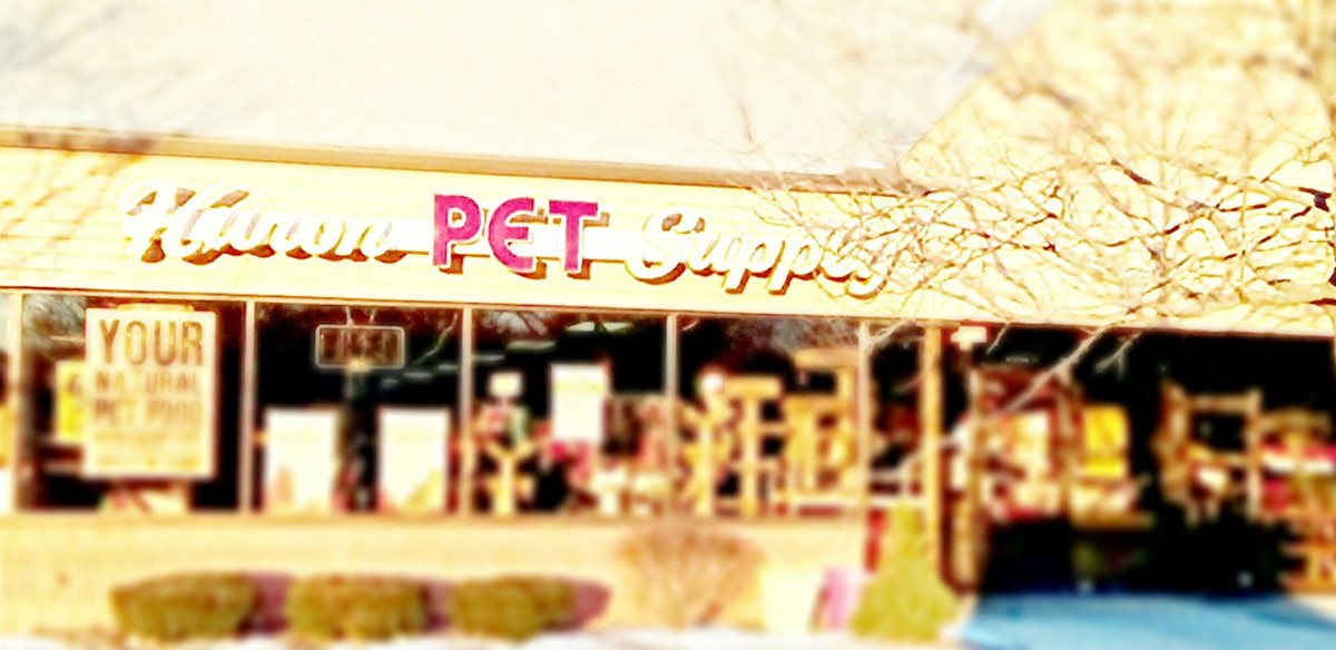 Alt Text