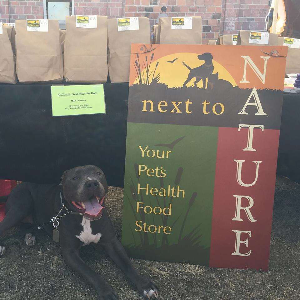 next to nature pet store