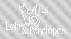 Alt Text