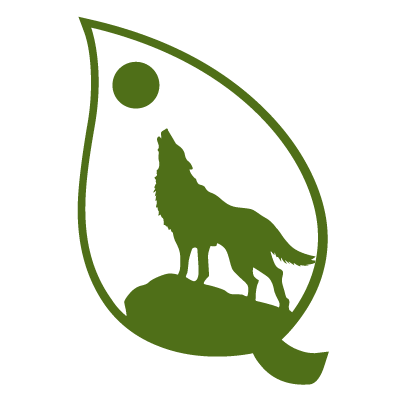 Alt Text
