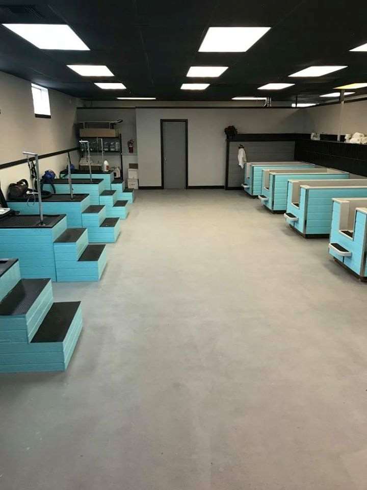 Elegant Dog Grooming Portland, OR Pet Supplies