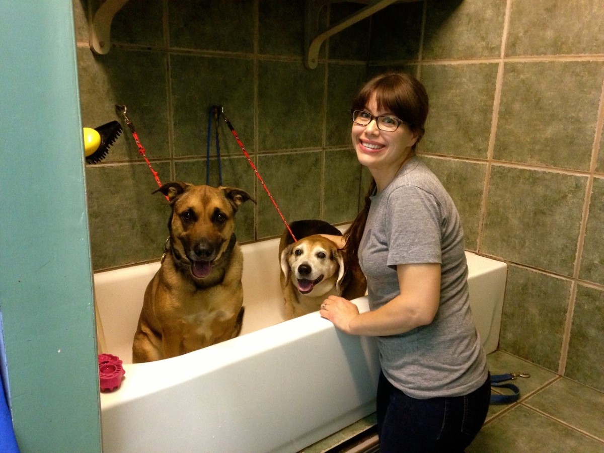 Park Pet Supply Atlanta, GA Pet Supplies