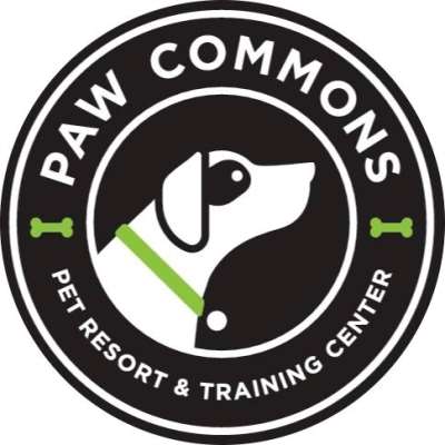 Paw Commons Pet Resort