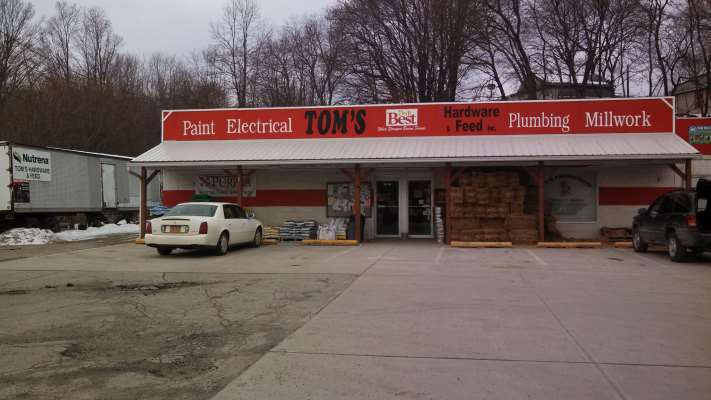 Tom's Hardware
