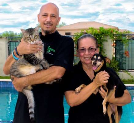 Pet Supplies Plus