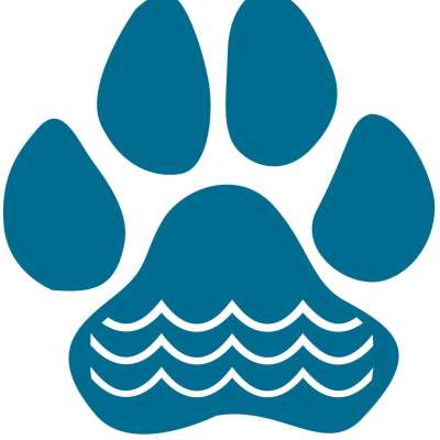 Lake Dog In The City