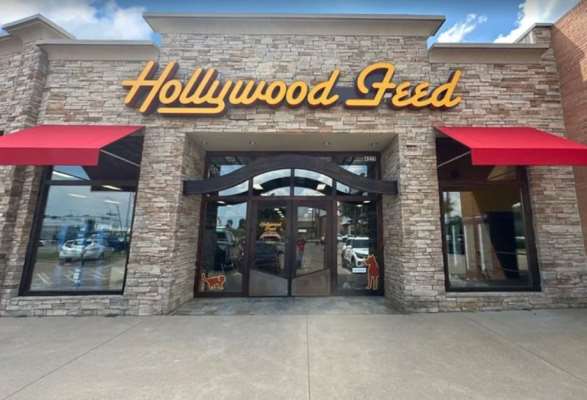 Hollywood Feed