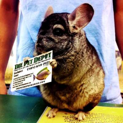 The Pet Depot
