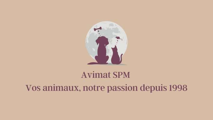 AVIMAT SPM