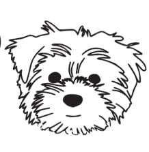 Puppy Country Grooming and Boutique