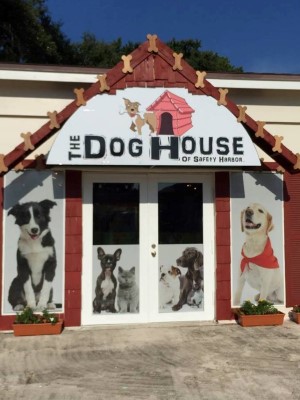 The Dog House  
