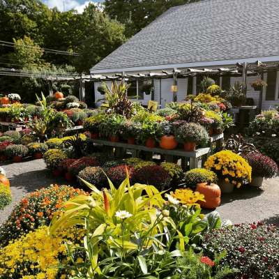 Shelburne Farm & Garden
