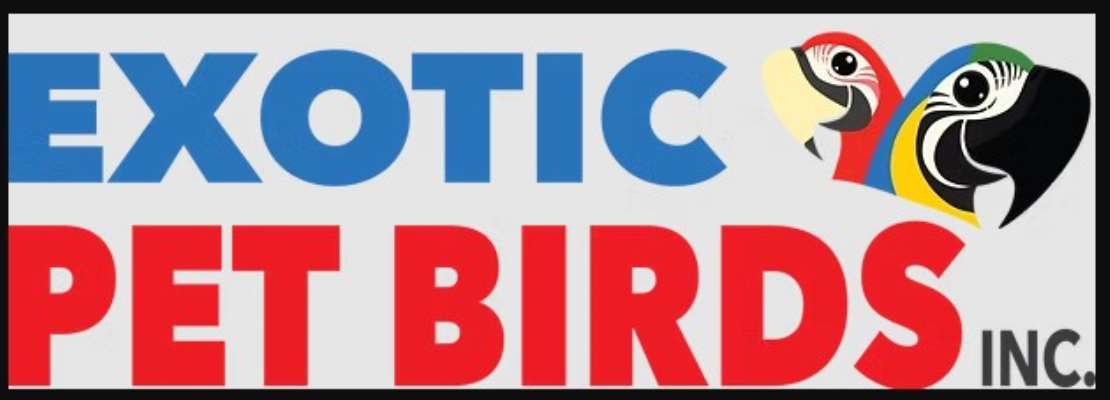 Exotic Pet Birds, Inc.