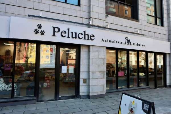 Peluche Animalerie