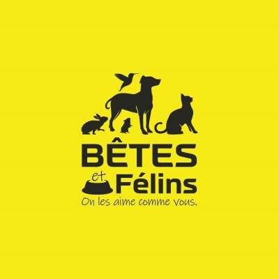 Bêtes et Félins