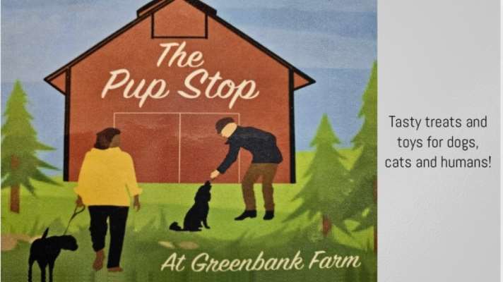 The Pup Stop At Greenbank Farm