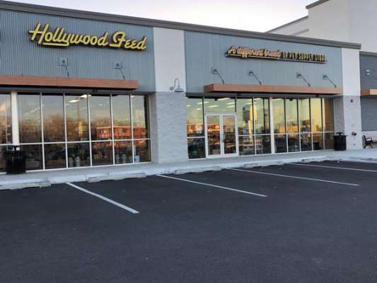 fromm hollywood feed