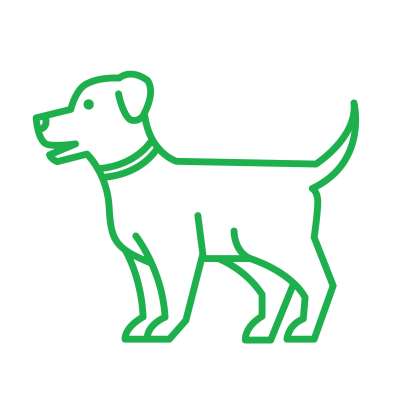 Pet Supplies Plus