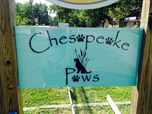 Chesapeake Paws