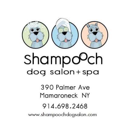 Shampooch