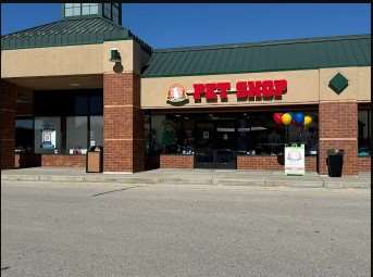 What's in the Bowl Pet Shop