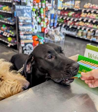 Pet Supplies Plus - Out of Business