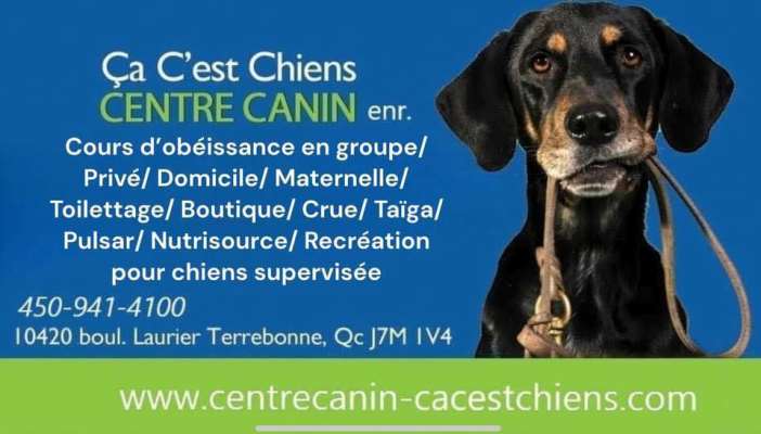 Centre Canin Ca c'est chien