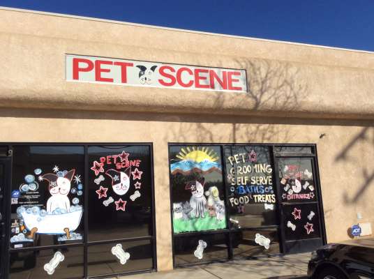 Pet Scene Bath & Boutique