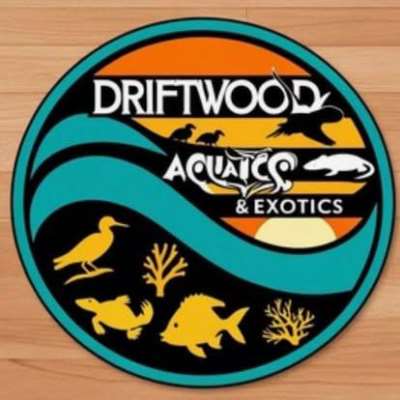Driftwood Aquatics And Exotics