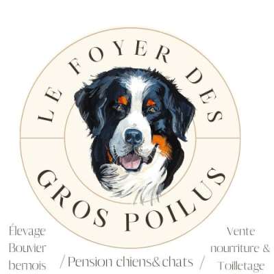 Le Foyer Des Gros Poilus