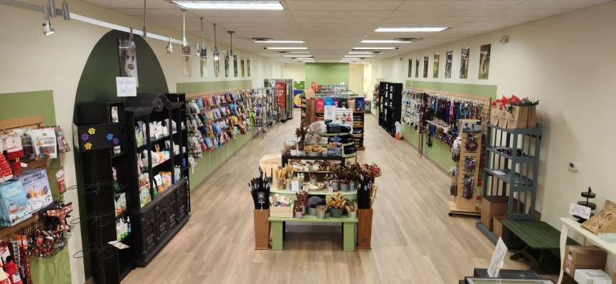 The Dog Store Belle View