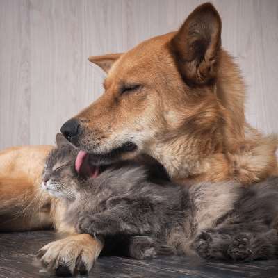 Northwoods Farm Supply